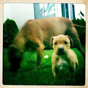 Meet your Posher, Lorey